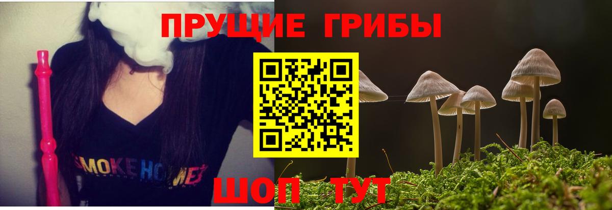 Топки  Псилоцибиновые грибы GOLDEN TEACHER  Вход с VPN 